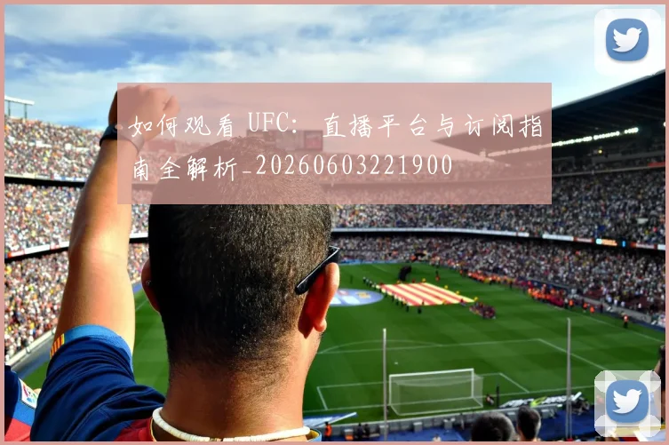 如何观看 UFC：直播平台与订阅指南全解析_20260603221900